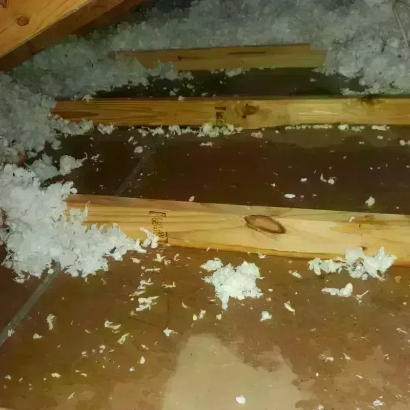 Attic Water Damage in Angelina County, TX